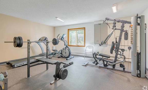 A well-equipped home gym with a variety of exercise machines.