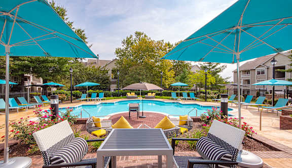A large outdoor swimming pool surrounded by trees and lounge chairs.