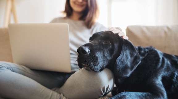 a woman sitting on a couch with her dog using a laptop