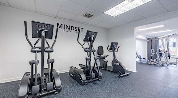 A gym with a row of treadmills and elliptical machines at Waterview at Rocky Point, Florida, 33634