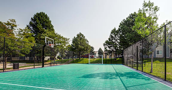 a green basketball court in a park with trees