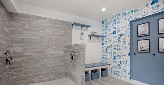 a bathroom with a shower and a bench and blue walls