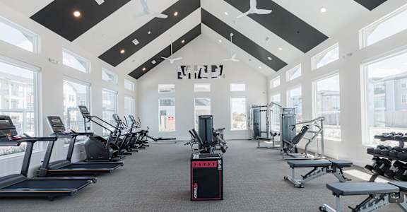 A gym with treadmills, weights and exercise machines.