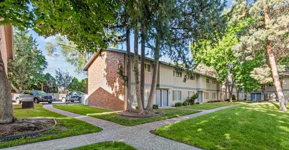 our apartments have a spacious yard with trees and grass