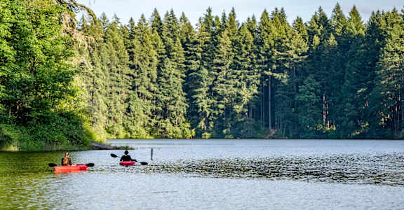 Two people kayaking on a calm lake with a forest in the background.