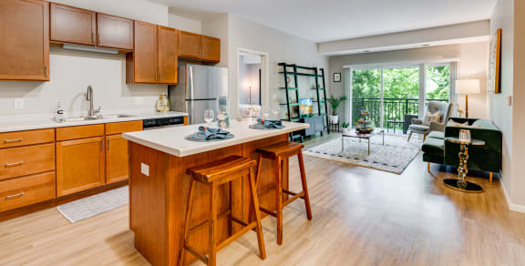Open Concept Living Room & Kitchen