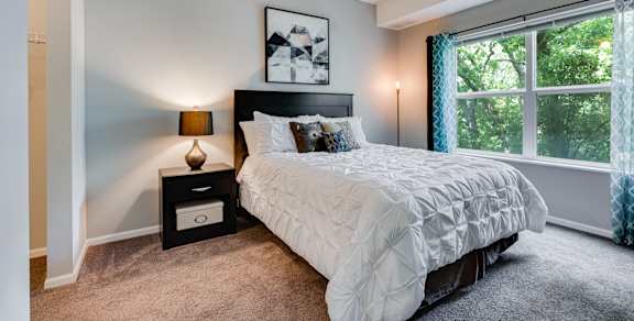 Spacious Carpeted Bedroom With Lots Of Natural Light