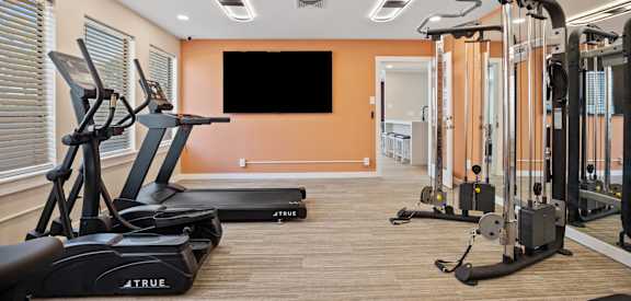 A gym with treadmills and exercise equipment.