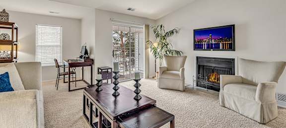 A living room with a fireplace and a television.