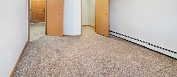 A room with a carpeted floor and two wooden doors.