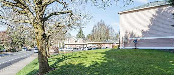 A tree stands on a grassy area in front of a building.
