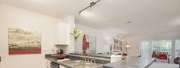 Kitchen Countertop at Butternut Ridge, North Olmsted