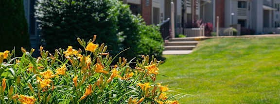 a row of townhomes with grass and flowers in the foregroundat Monroeville Apartments, Monroeville, PA, 15146