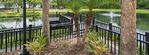View of the lake surrounded by palm trees at Mirage on Kernan Apartments in Jacksonville, FL