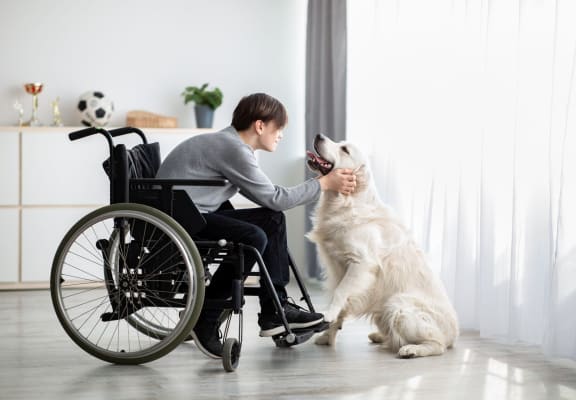 a woman in a wheelchair petting a dog