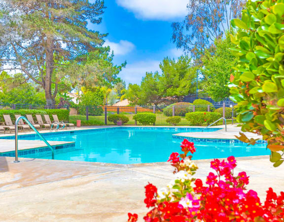 Sparkling pool with lounge chaird surrounded by florals and trees at Village Park Apartments in Encinitas, CA has spacious 1 & 2 bedroom floorplans offering natural bright light,