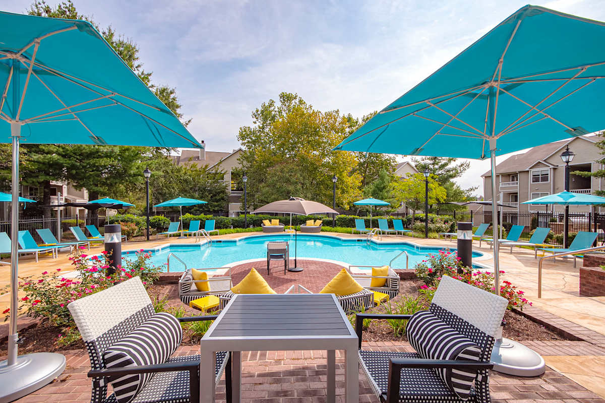 Saddle Ridge Apartments outdoor pool - Ashburn, VA