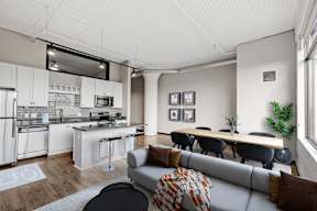 Spacious Living Area With Wood-Style Flooring