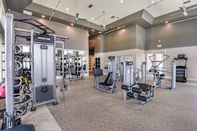 Apartments with a Fitness Center at Lenox at Bloomingdale Luxury Apartments in Brandon, FL