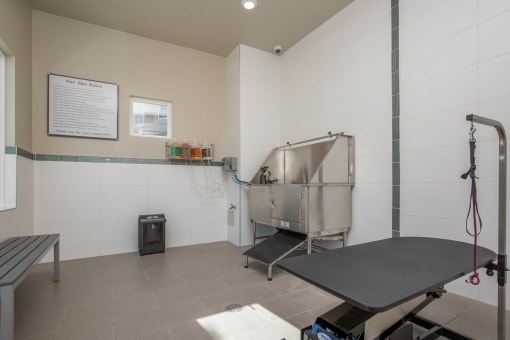Pet Wash Center at The Passage Apartments by Picerne, Henderson, NV
