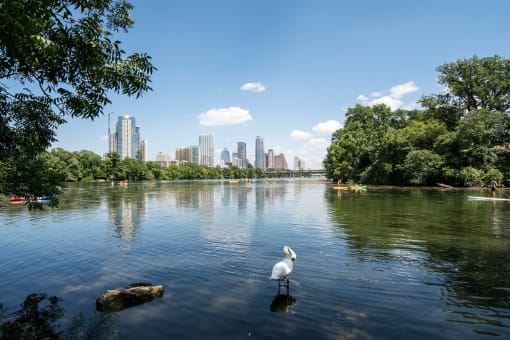 View of Ladybird Lake and downtown Austin at Douglas Landing Apartment Homes, Texas, 78741