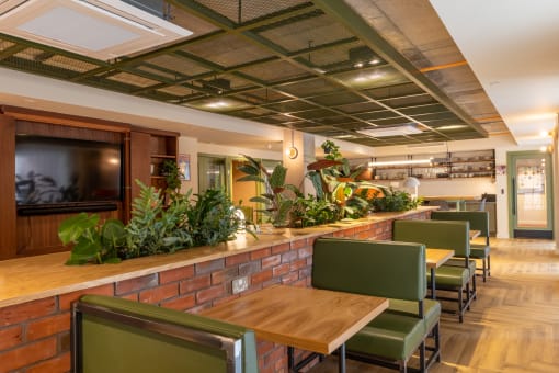 a restaurant with a long counter and green chairs