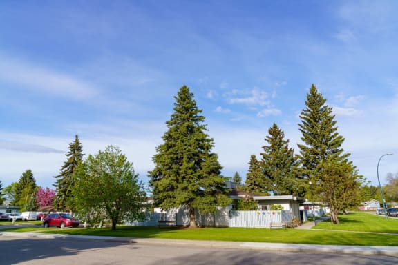 a house on a street with trees in front of it
