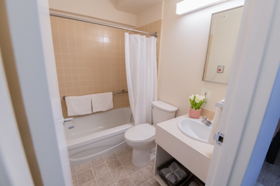 a bathroom with a toilet sink and bathtub