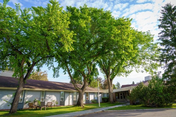 a building with a sidewalk and trees in front of it