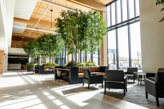 a large room with tall ceilings and a large number of trees in the middle of the room