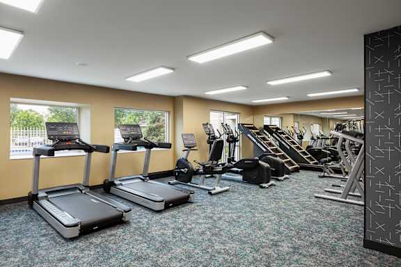 A gym with treadmills, weights, and exercise equipment.