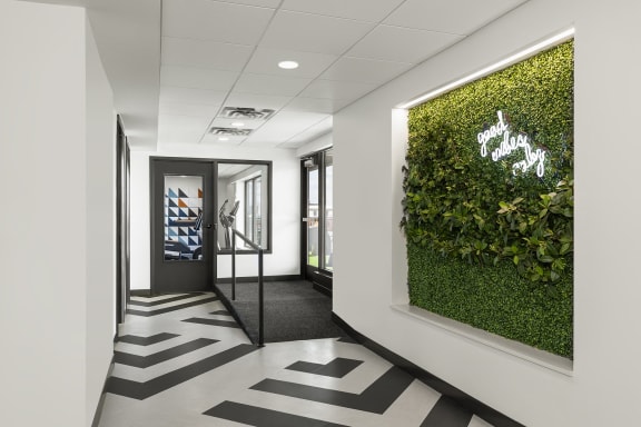 a green wall in a corridor of a building with black and white flooring