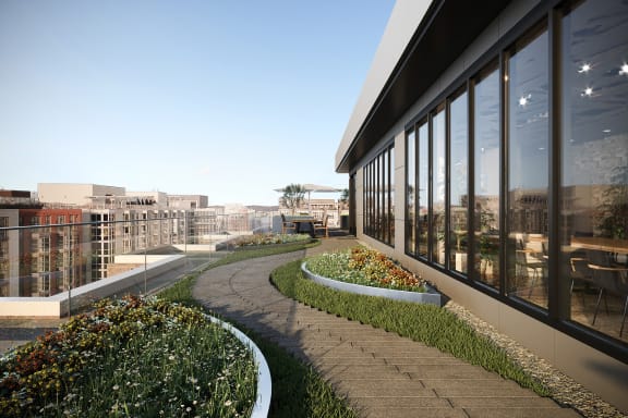 Coda on Half Rooftop Terrace