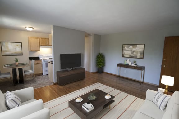 Como Lake Estates staged living room, St. Paul, Minnesota