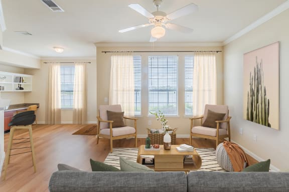 Dominium-The Springs-Apt Overview at Lakeside Pointe Apartments & Townhomes, Pearland, TX, 77584