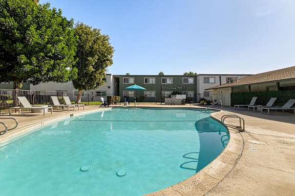 A large outdoor swimming pool with a concrete edge and a metal ladder.