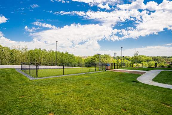 Fenced in, grassy dog park at Aspire with heated turf and heaters