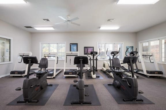 the apartments at masse corner 205 fitness room