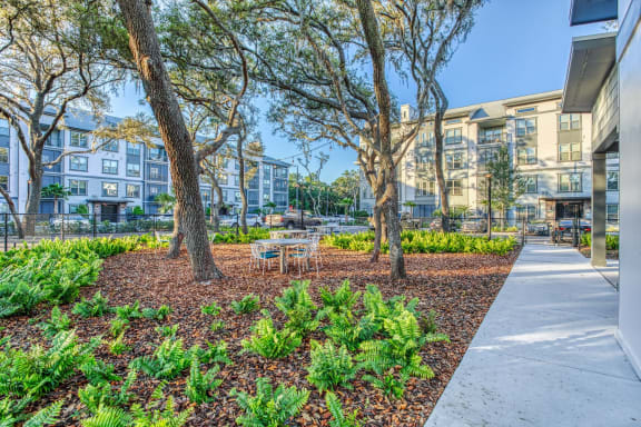 a park with trees and a sidewalk at The Beck at Hidden River, Tampa