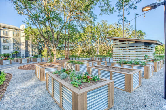 Beautiful Garden Setting at The Beck at Hidden River, Florida , 33637