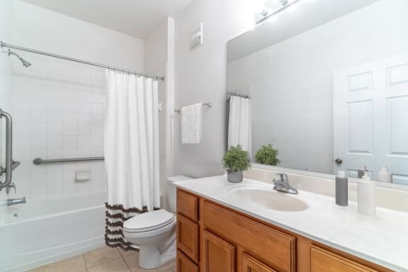 a bathroom with a sink and a toilet and a shower