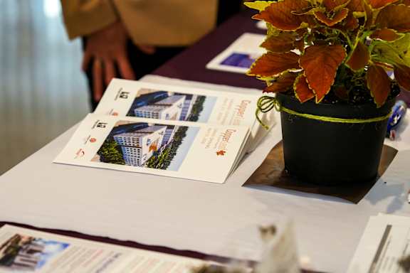 A potted plant with red and green leaves sits on a table with brochures.
