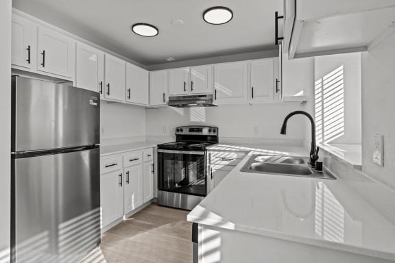 Elevate Apartments in Lynnwood, Washington Kitchen with Storage