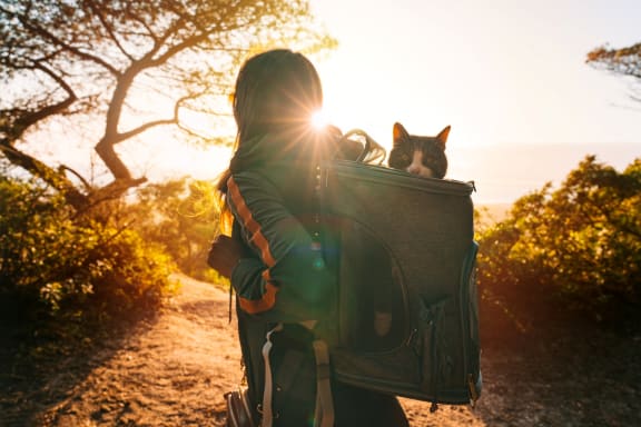 Woman on Hike with Cat in Backpack