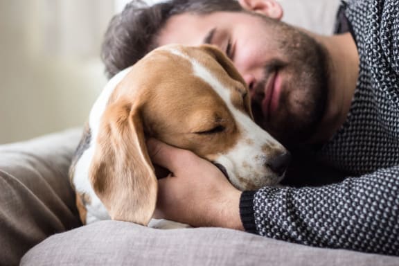 Man Cuddling with Dog on Sofa