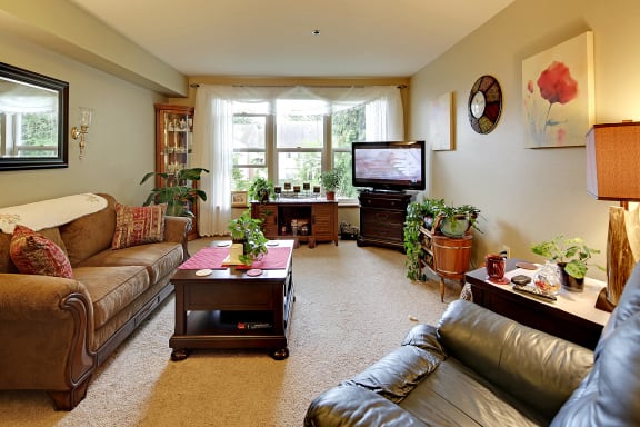 Windsor living room Interior