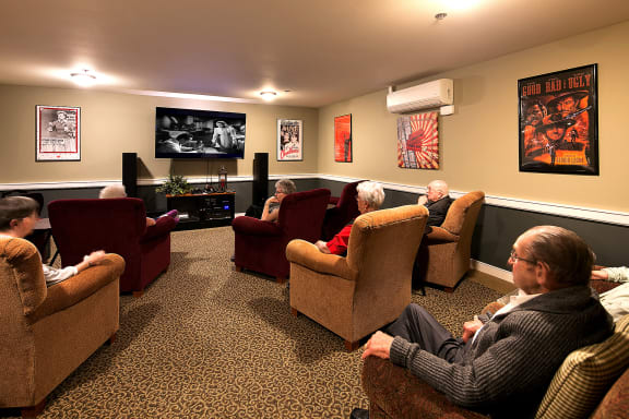Windsor Square movie room