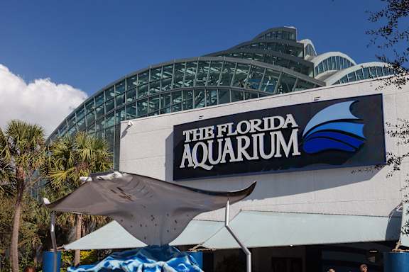 The Florida Aquarium is one of many attractions just steps from our community.