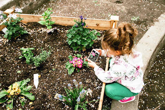 Small girl taking photo of flower at The Chapters , Ely, CB7 4DI