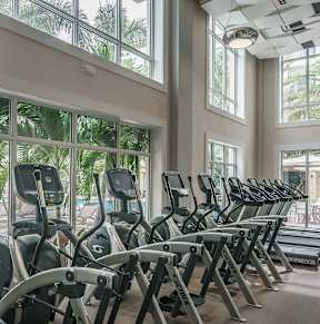 a row of cardio machines in a fitness room with large windows